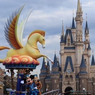 ディズニーで一緒に写真撮りたい方！