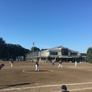 早朝ソフトボールチームメンバー募集！