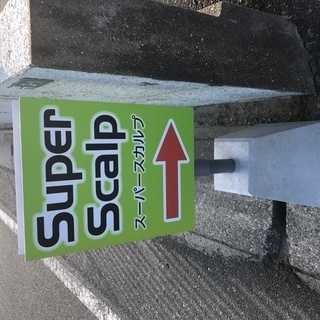 薄毛や抜け毛の改善、育毛、発毛を独自のSS療法で施術致します。発毛実績９８．７％！ - 行橋市