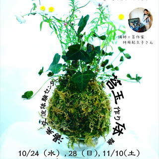 秋を感じる苔玉作り体験（温泉入浴券付き）【湯来交流体験センター】
