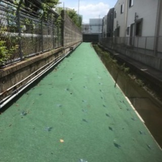 植木一本からお庭の手入れ剪定。遠方可。見積り無料。ご予算に応じた価格で出来る限りさせていただきます❗️ 京都府 大阪府 滋賀県 奈良県 愛知県 他、遠方でもお伺い致します。造園業。植木屋。木切る 伐採 宇治市 防草シート TEL09065509239 - 宇治市