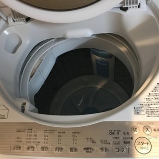 最終値下‼︎新品購入使用10ヶ月「東芝全自動洗濯機」の画像