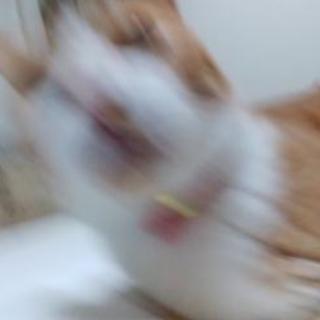 まったりお話ししましょう