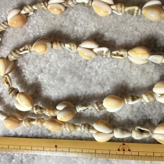 ハワイ土産の貝殻ネックレスの画像