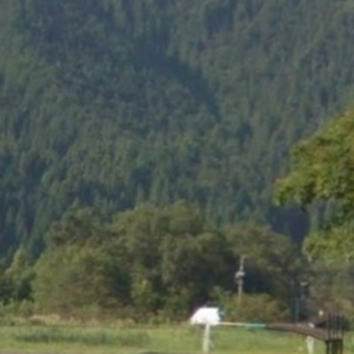 岐阜県関市洞戸 土地 - 関市