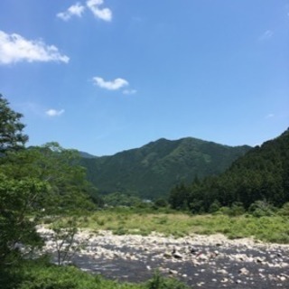 岐阜県関市洞戸 土地の画像