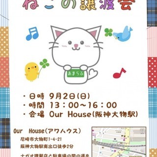 第2回 ねこの譲渡会☆彡～阪神大物駅～