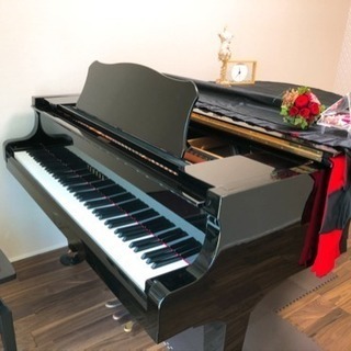 【春の🌸無料体験受付中♪】春日部市と野田市にあるピアノと声楽の教...