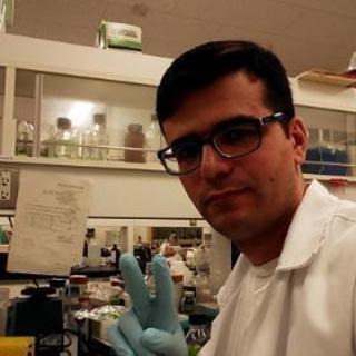 English speaking classes "英会話"の画像