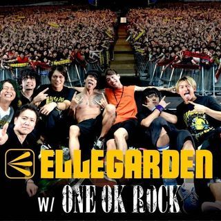 2019年行くぞ！フジロック★｀・ω・)ノ♪ELLEGARDEN仲間募集お気軽に！ - 友達