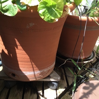 高級 イギリス テラコッタ 植木鉢 ウィッチフォードポッタリーの画像