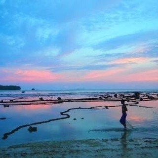 平日一緒にサーフィン行ける方いませんか？ - スポーツ