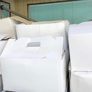 檜 端材 大量 DIY 一箱 まとめ買い値下げ or オマケ付きの画像