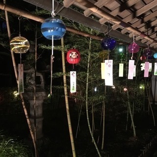 ウォーキングレッスン 9月 小金井