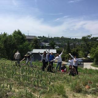 畑仲間募集！！シェア畑もやってます！！