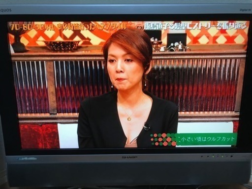 SHARP 32V型 液晶テレビ AQUOS LC-32AD5 ハイビジョン
