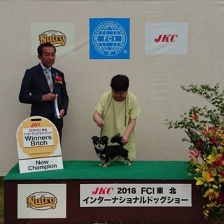 トリマー募集