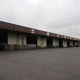 青果市場にて野菜の仕分け作業の画像
