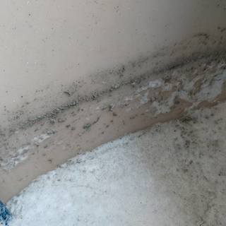 追い焚き配管洗浄　札幌、旭川 - 地元のお店