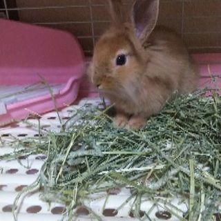 ディズニー＆映画友達 募集します＊女性限定です(^-^)