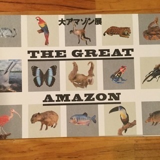 THE GREAT AMAZON