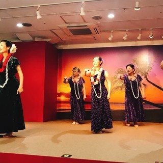 フラダンス教室　あざみ野　2018年9月、初心者クラス開講。経験...
