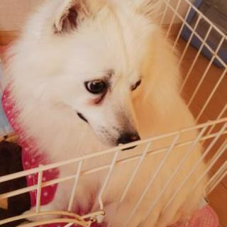お願いします