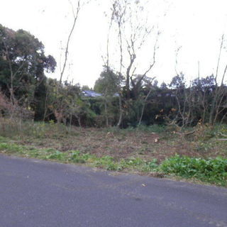 鹿児島県南九州市知覧町郡【売地】7ｍ公道沿間口広々２４６坪135万円 - 土地販売/土地売買