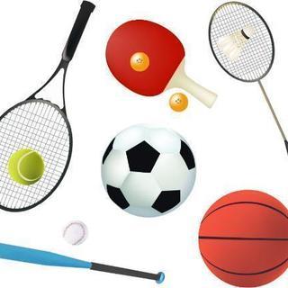 ⚽️なんでもスポーツ🏓サークル