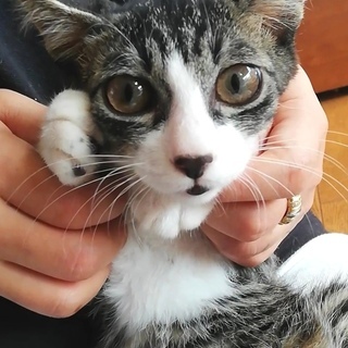 ヒデくん♂★3ヵ月です！