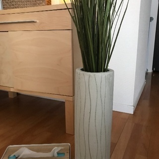 IKEAの鉢の画像