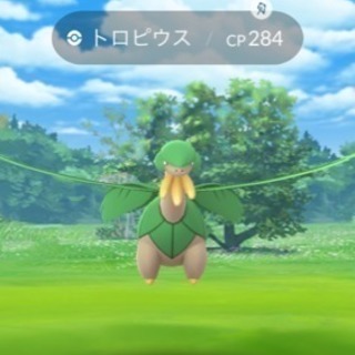 ポケモンgo  トロピウス、アンノーン  !型有 トレード希望