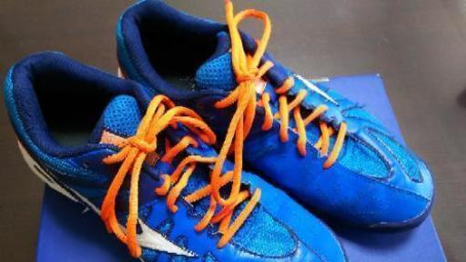 【美品】MIZUNO 室内スポーツシューズ 27.0センチ
