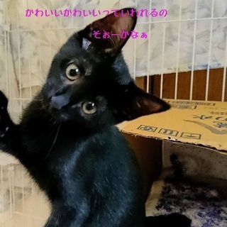 性格いいよ～！その子ちゃん。