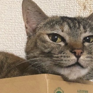 りんご＆事変カラオケオフ会IN那覇