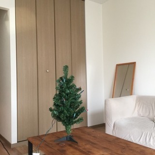 クリスマスツリーの画像