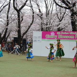 こどものフラダンス（ケイキフラ）☆の画像