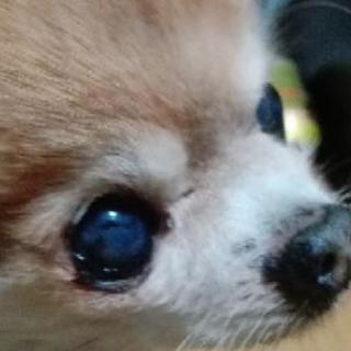 一緒にアコースティックバンドメンバー募集!