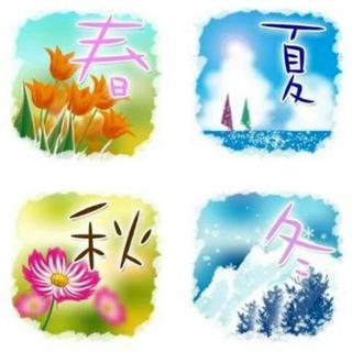 春🌸夏🌊秋🍁冬⛄メンバー