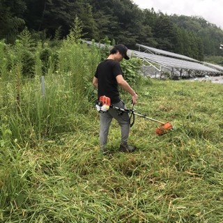 福島県いわき市太陽光発電草刈り作業10,000円〜保証！数年間の継続依頼のお仕事。経験者優遇！の画像