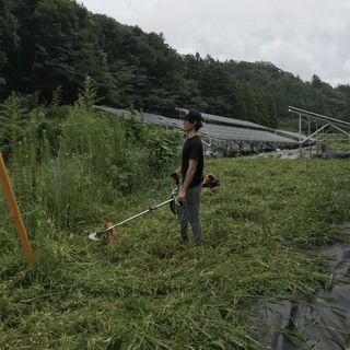 福島県いわき市太陽光発電草刈り作業10,000円〜保証！数年間の継続依頼のお仕事。経験者優遇！の画像