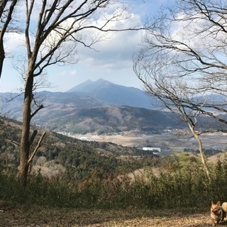 茨城の山、登山しましょう♪（女性限定） − 茨城県