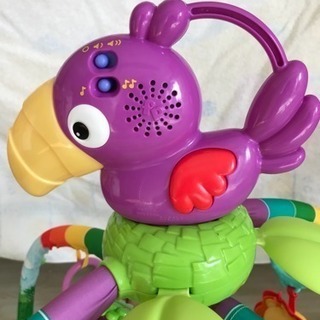 フィッシャープライス レインフォレスト・デラックスジムIIの画像
