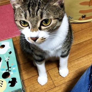 避妊済み、ワクチン接種済みです。