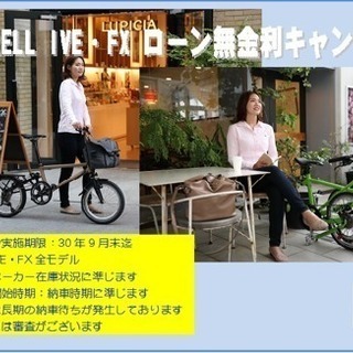 タイレル  IVE&FX ローン無金利キャンペーン