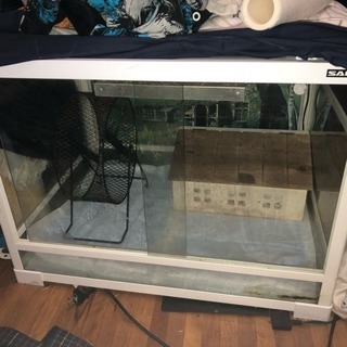 ハリネズミゲージ等一式の画像