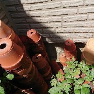 植木鉢の画像