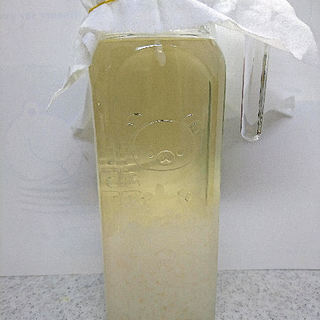 ウォーターケフィア　グレイン　黒砂糖きのこ　テキスト付きの画像