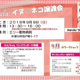 イヌ ．ネコ譲渡会