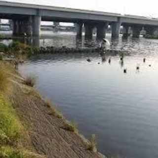 バス釣り一緒にしていただける方募集！